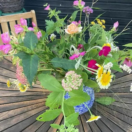 Cooking Over Fire And Coziness Near Ajstrup Ajstrup Strand