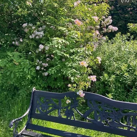 Cooking Over Fire And Coziness Near Ajstrup *