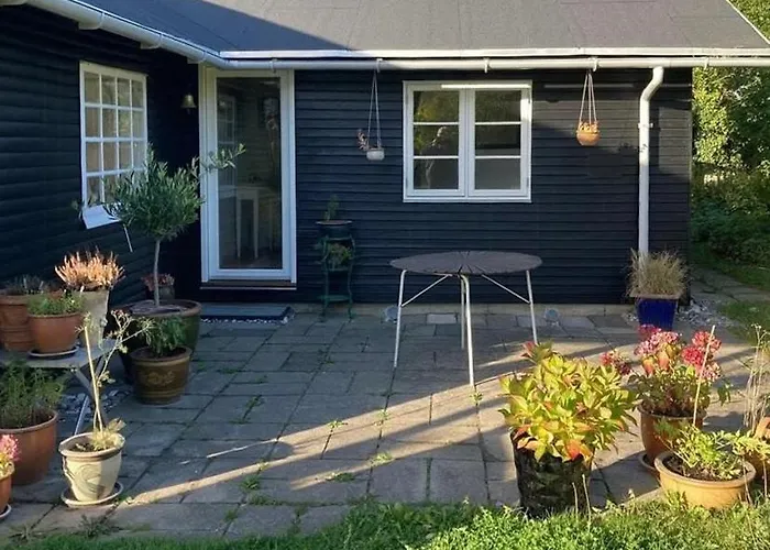 Cooking Over Fire And Coziness Near Ajstrup *